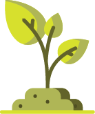 sapling